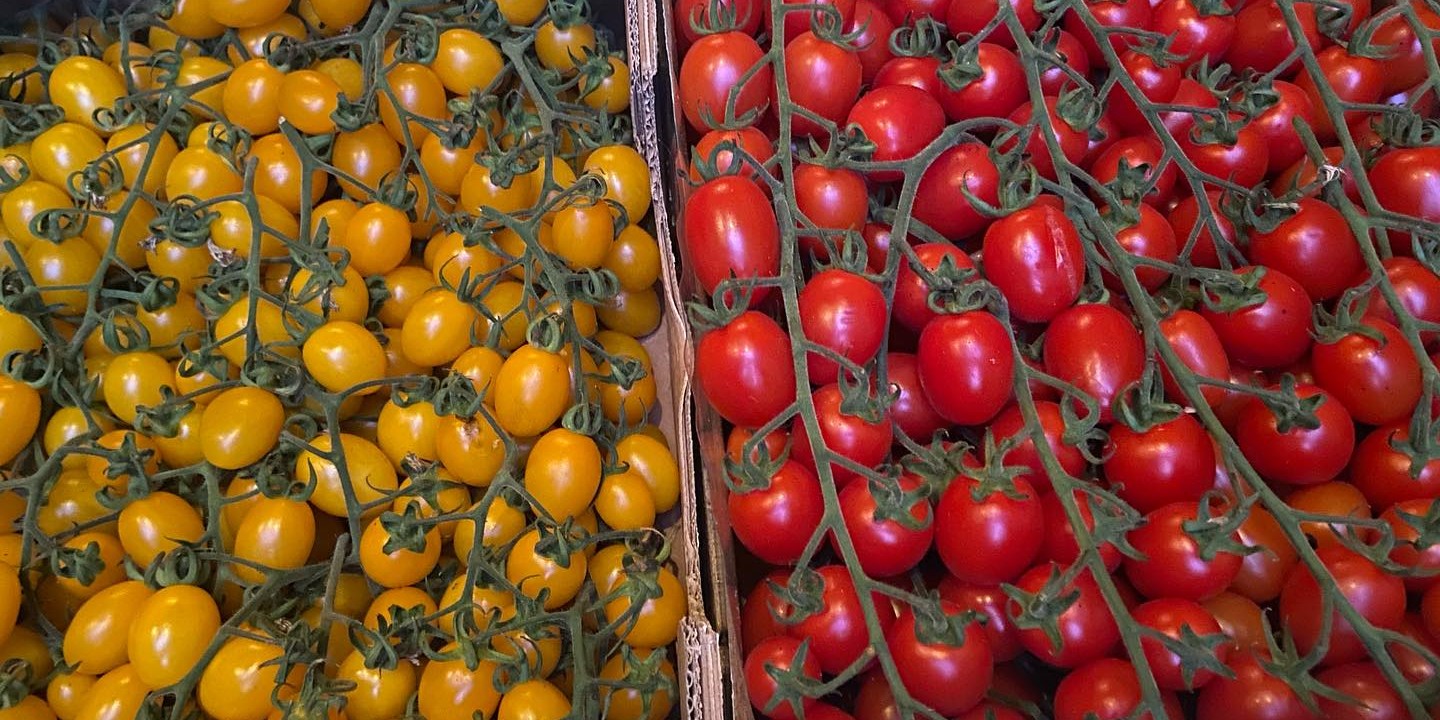 469719548_18449378056068413_5358931194197010870_n