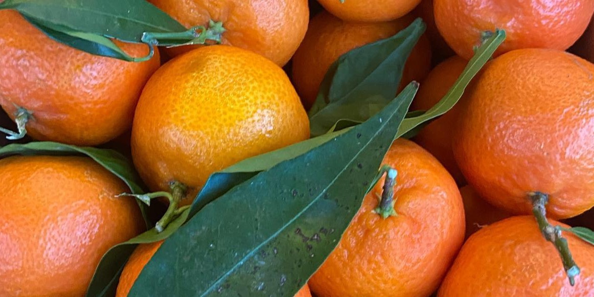 482348443_23930940223175065_4762710904556098118_n