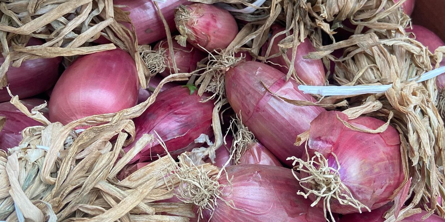 483746224_23942702598665494_3187570107050438003_n