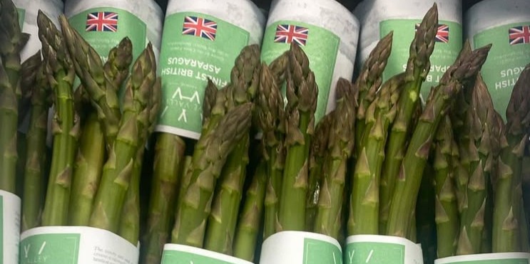 491416983_18473465179068413_3249646682499058184_n