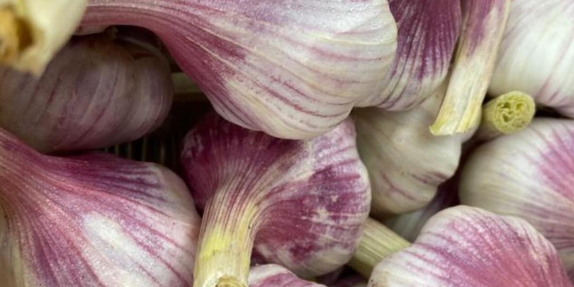 491430803_18473587201068413_6867685015174955644_n