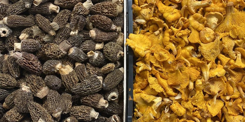 496784193_18476049385068413_521251005019681108_n