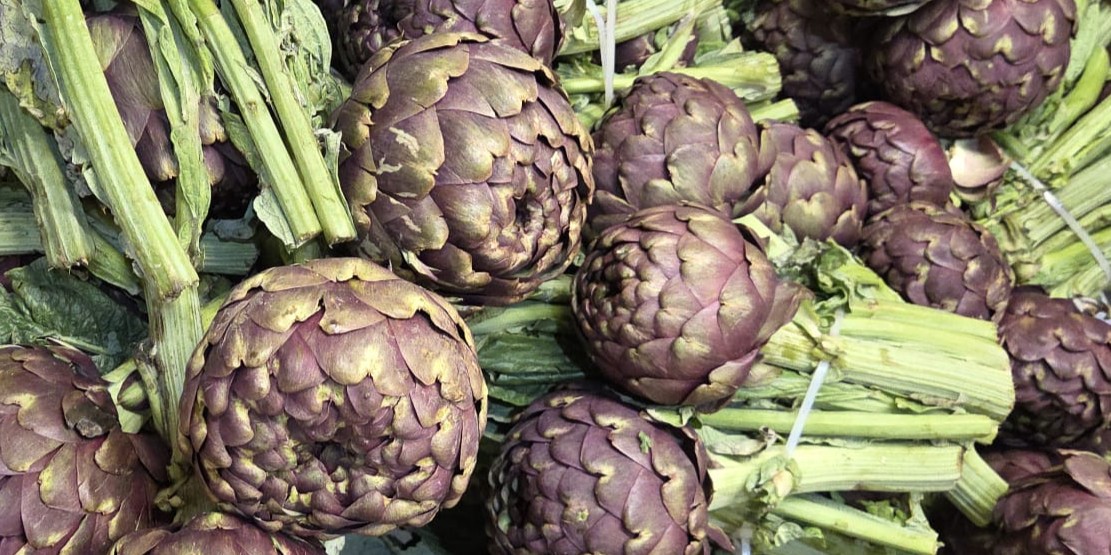 IMG-20250401-WA0004(1)