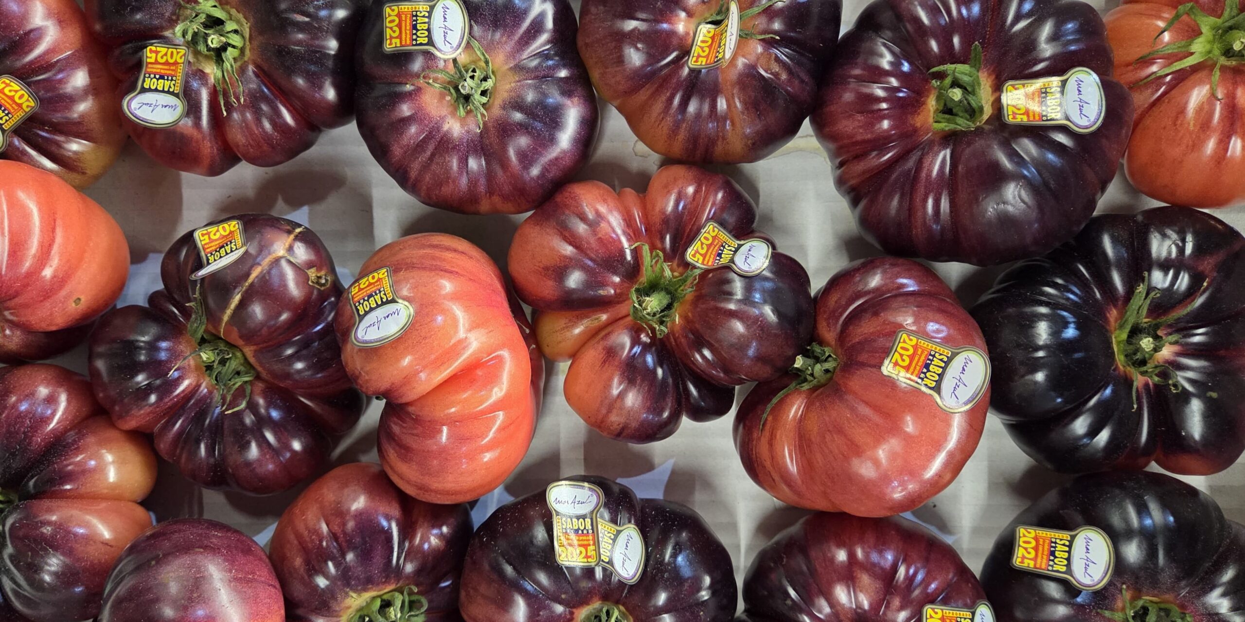 Mar Azul tomatoes FU 1