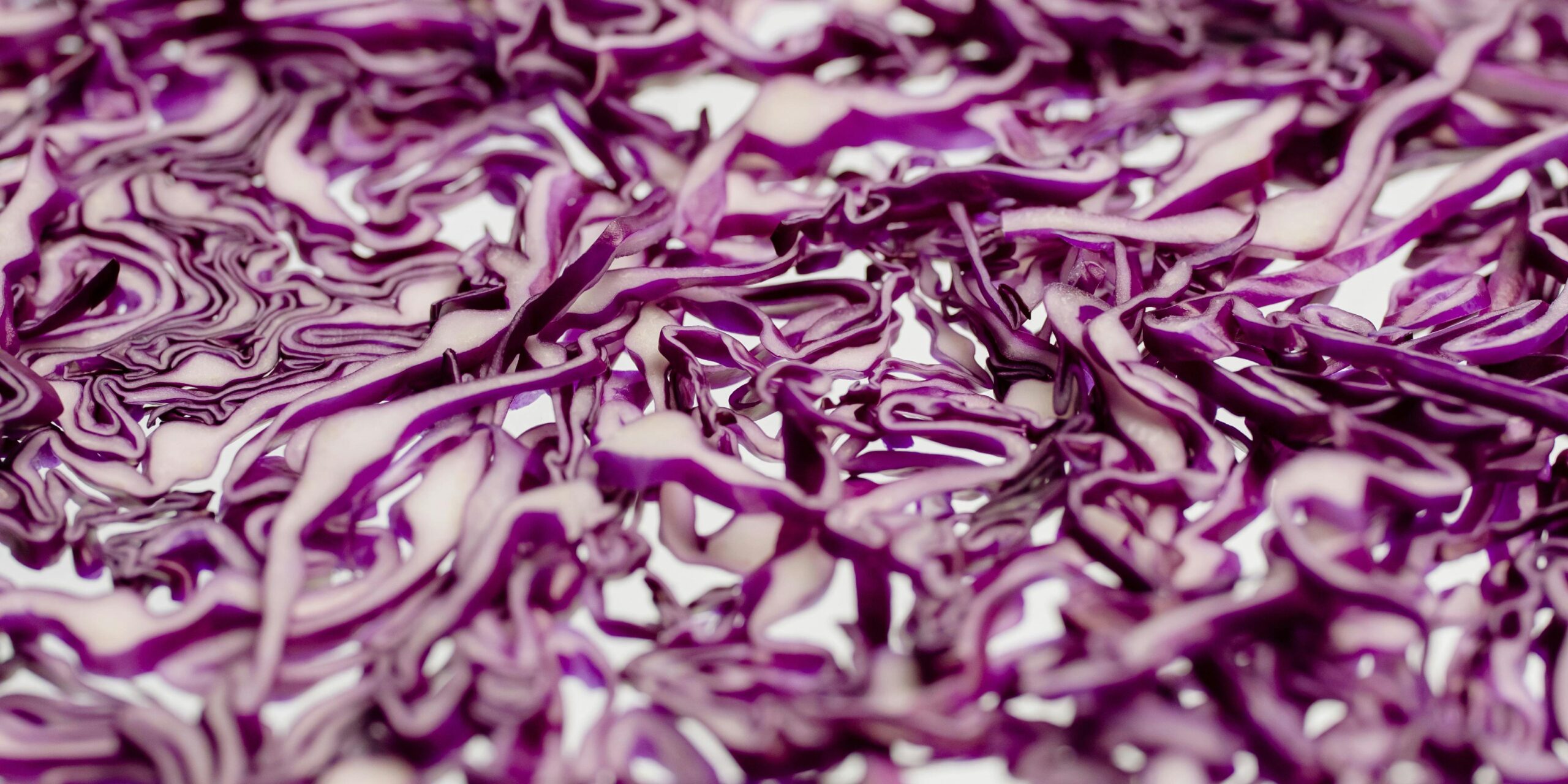 pexels-cottonbro-5876006