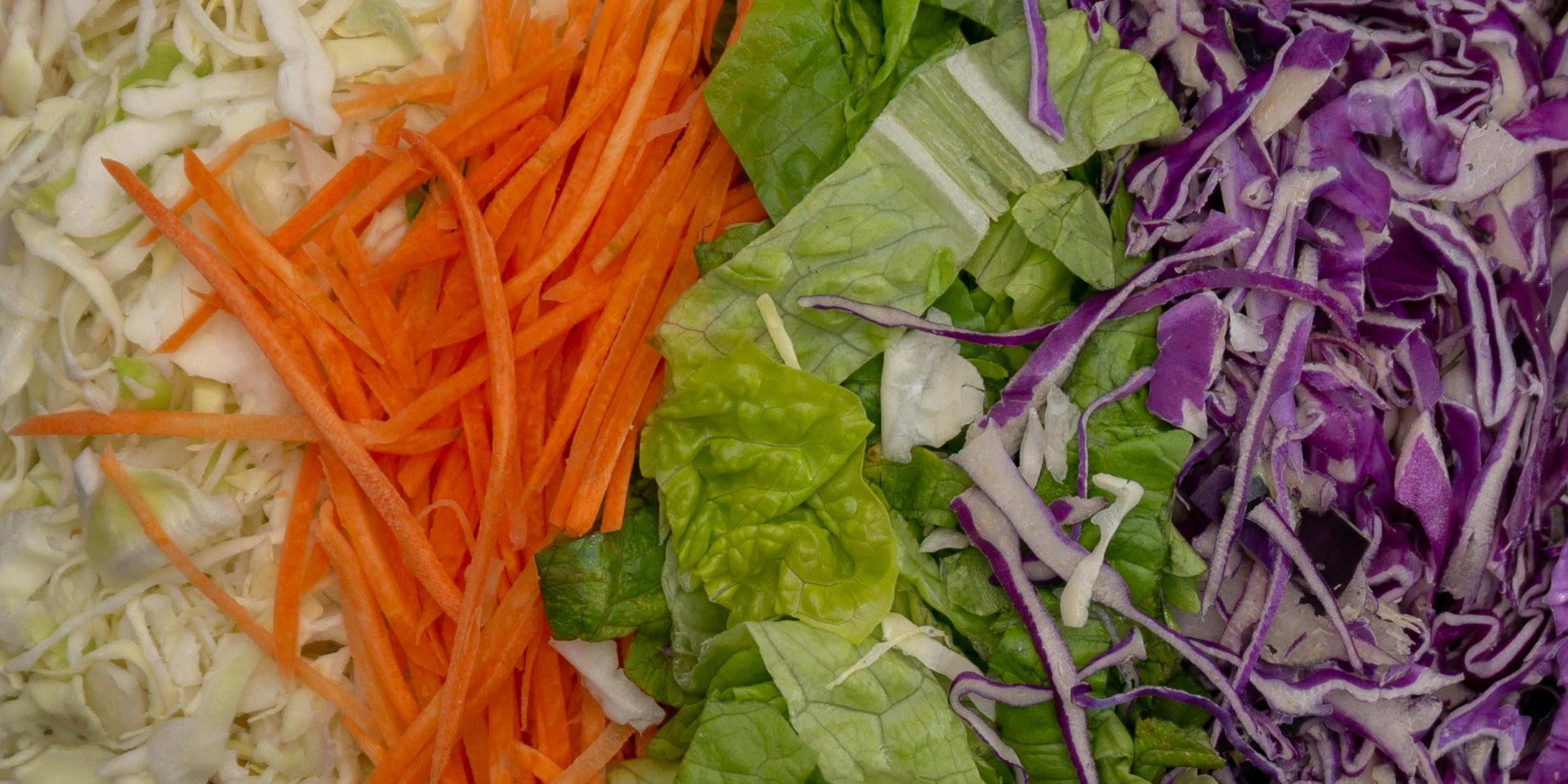 pexels-demian-spinetta-375490810-14619192