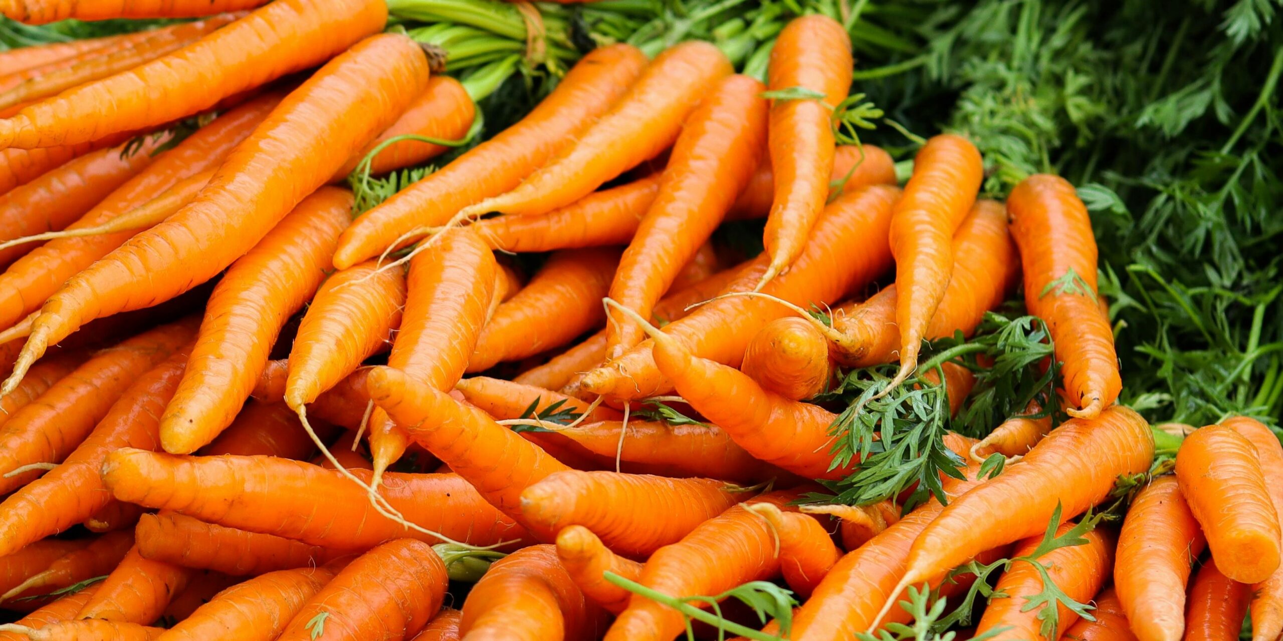 pexels-hanamara-3650647