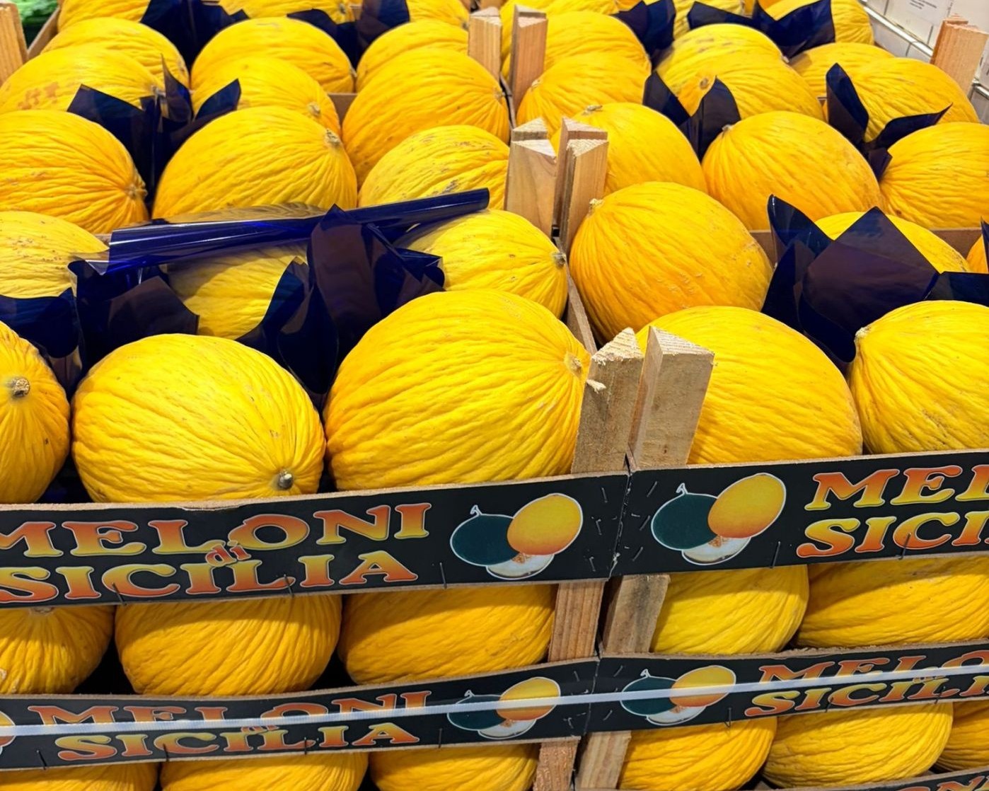 Italian Fresh Melons