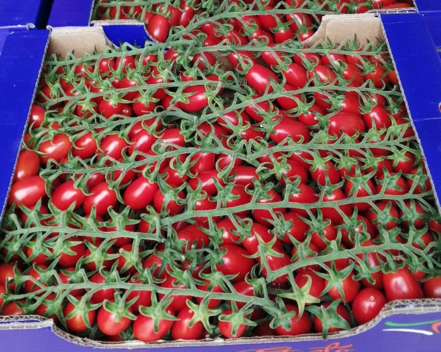 Italian Fresh Tomatoes