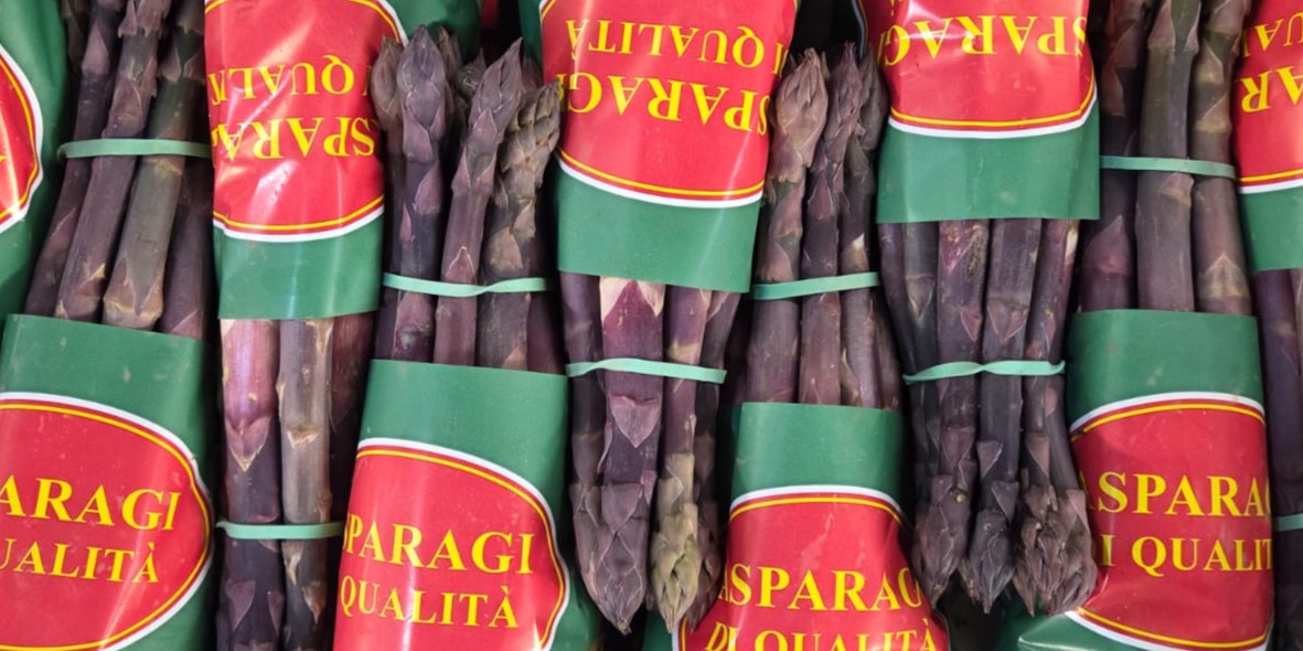 Italian Purple Asparagus 2