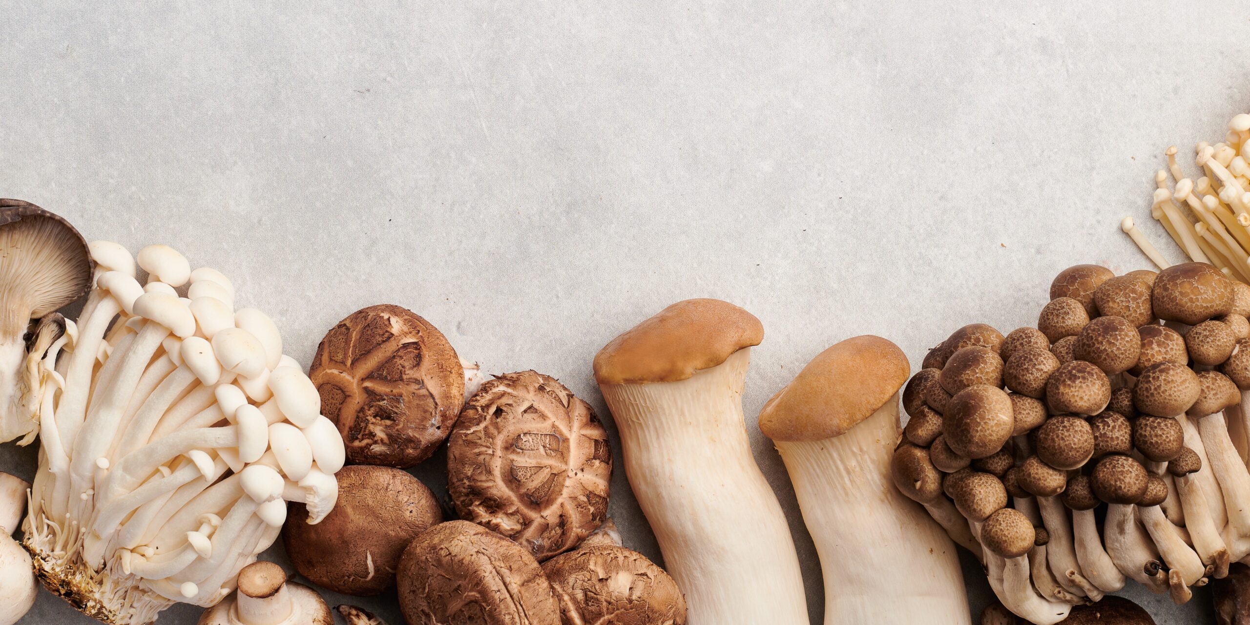 Set of different mushrooms on background, top view, copy space