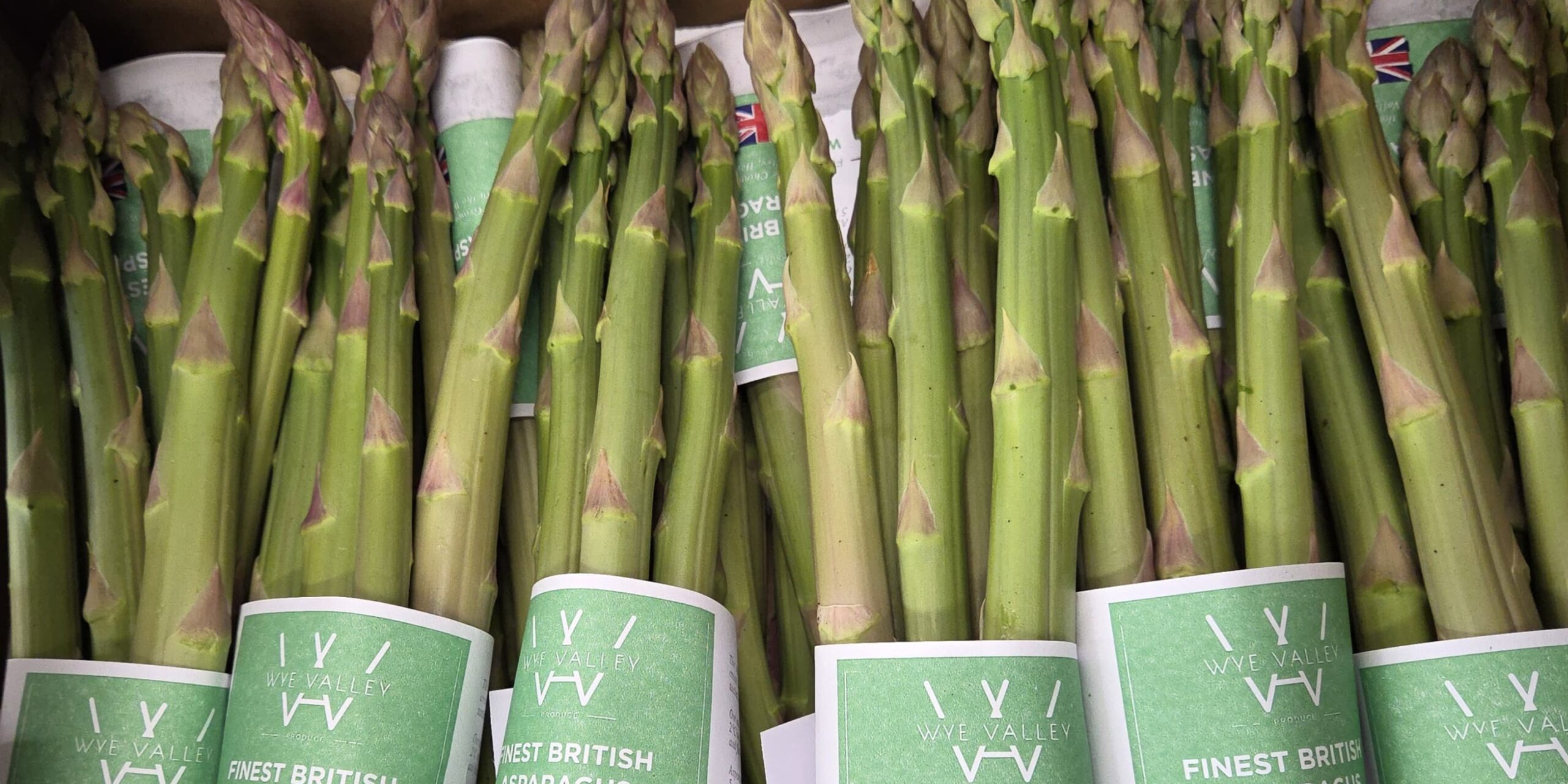 WhatsApp Image 2025-02-28 at 04.29.29 (1)