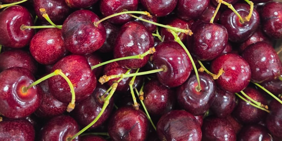 WhatsApp Image 2025-02-28 at 23.49.32