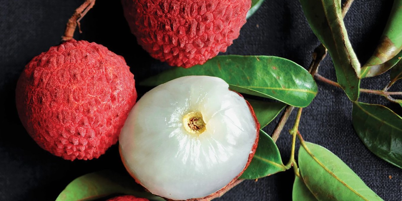 lychee-scaled