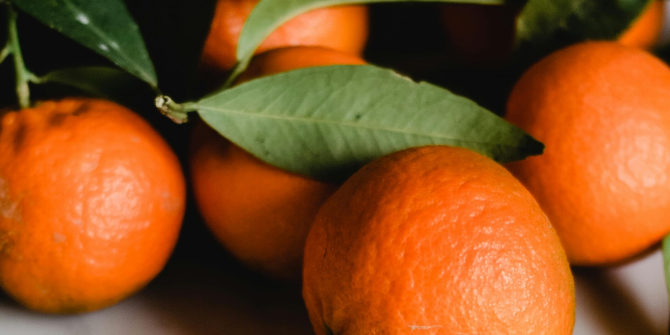 pexels-eva-bronzini-5500521